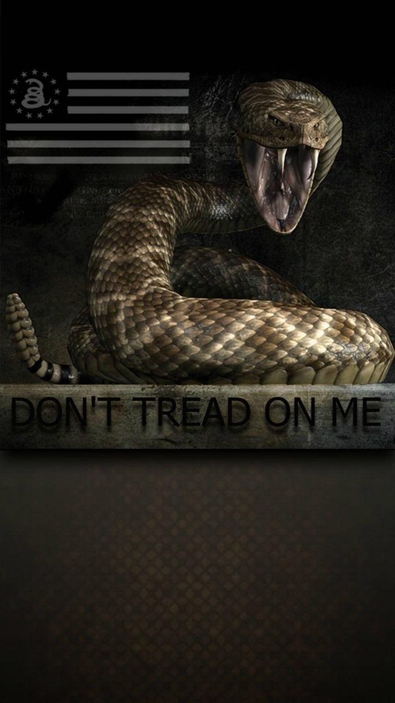 Dark digital art wallpaper of coiled rattlesnake with Dont Tread On Me Gadsden flag emblem