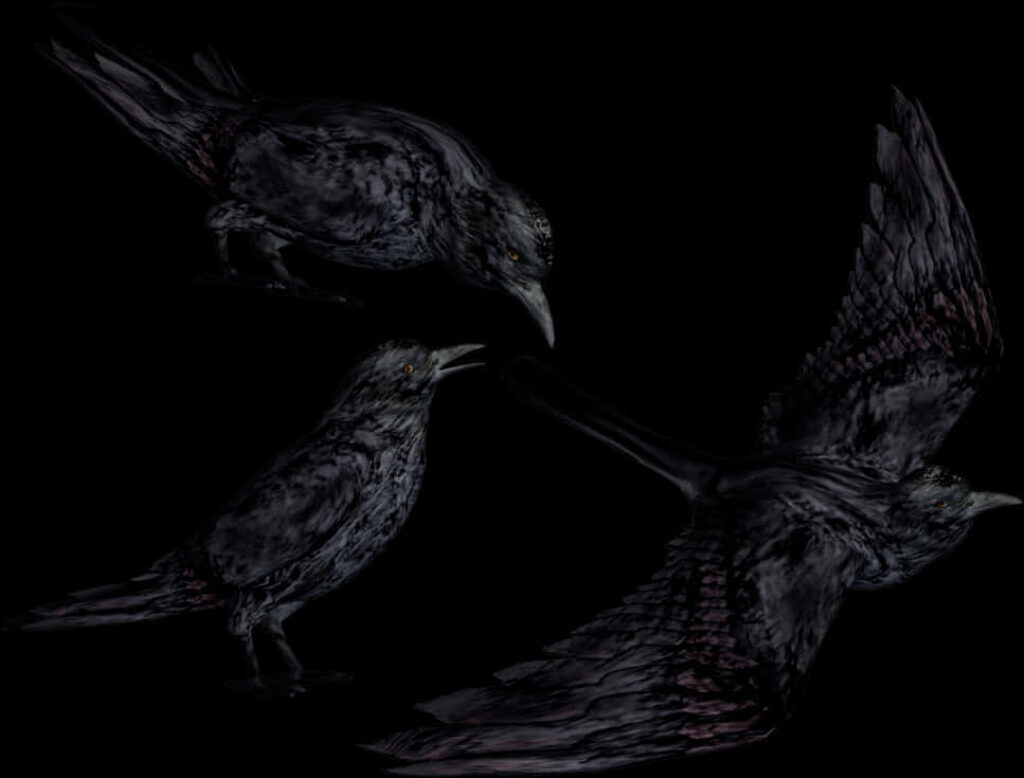 Mysterious Crows Wallpaper: Dark Setting & Shadowy Aesthetic