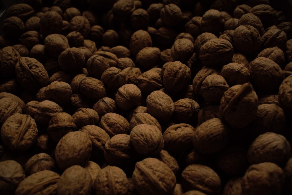 Dark Walnut Wallpaper: Close-Up Texture & Earthy Harvest Background
