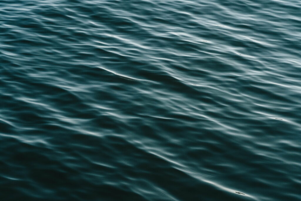 Serene Reflections: A Dark Water Surface Unveiling Mesmerizing Ripples Wallpaper