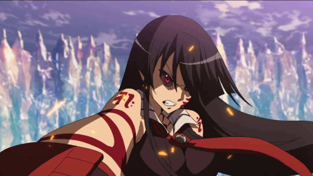 Red-Hot Rage: Akame Unleashes Her Fury in Akame Ga Kill! Wallpaper