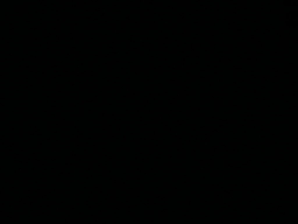 Plain black wallpaper with sleek minimalist solid dark background for modern clean screens