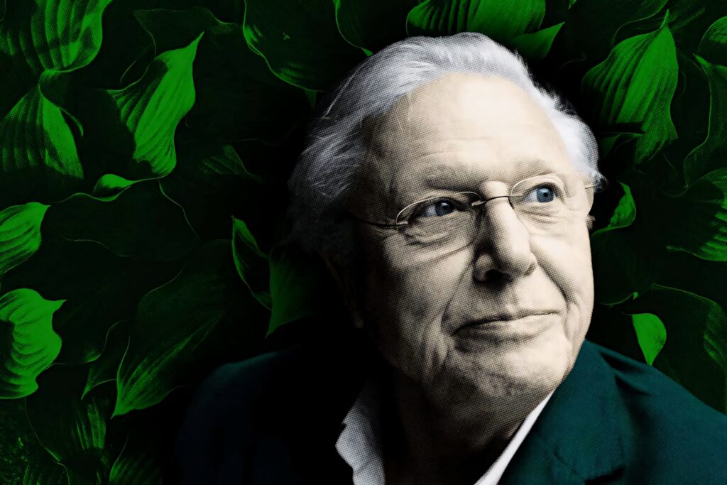 David Attenborough digital portrait wallpaper with lush green foliage and nature theme background