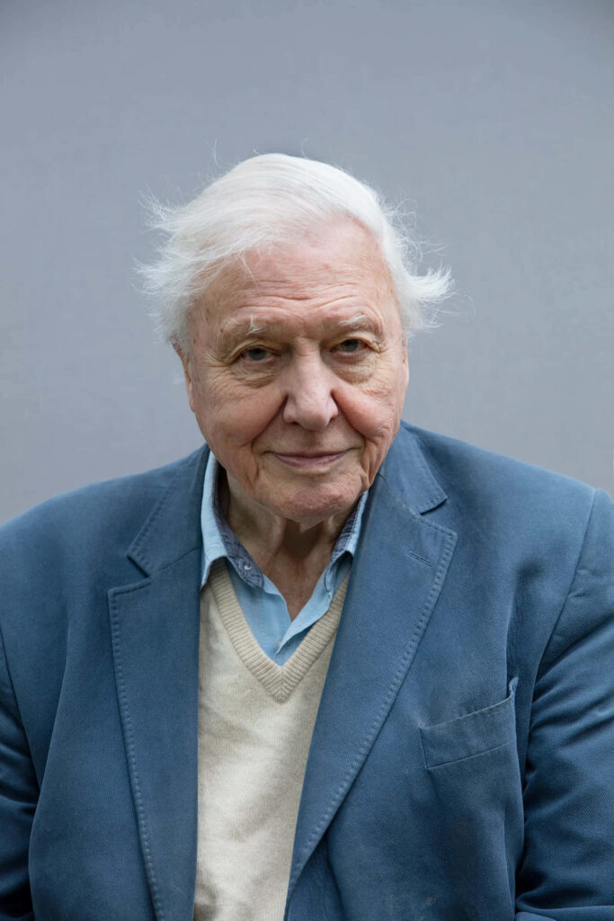 David Attenborough portrait wallpaper with blue blazer gray background calm distinguished look