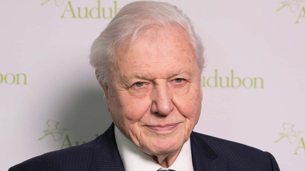 David Attenborough in formal suit Audubon wallpaper highlighting nature conservation wisdom
