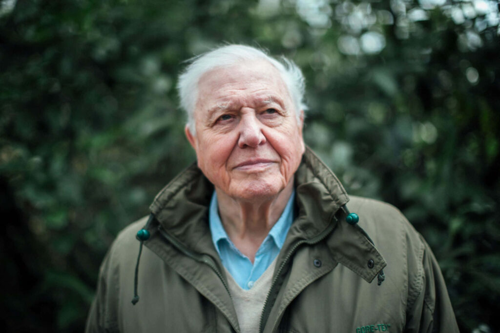 David Attenborough in lush green nature wearing outdoor jacket thoughtful expression wallpaper background