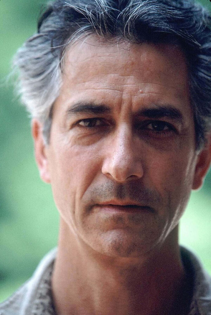 Close-up portrait of David Strathairn in natural sunlight with soft green background wallpaper