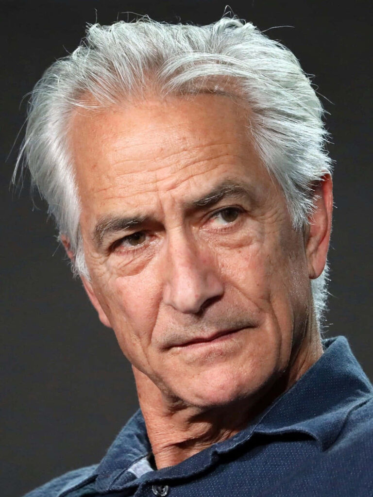 Close-up portrait of David Strathairn with silver hair and natural skin tones cinematic wallpaper