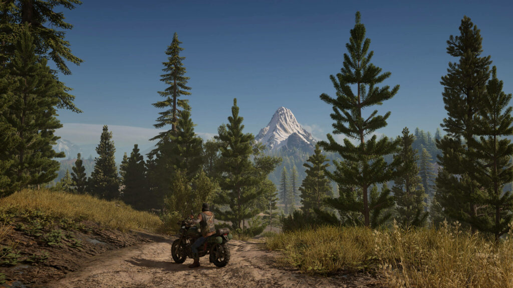 Deacon St John rides motorcycle on forest trail with pine trees golden grass and snow-capped mountain Wallpaper