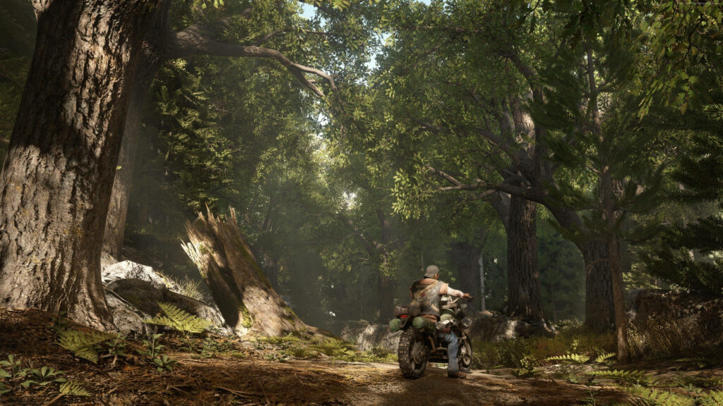 Deacon St John rides motorcycle through sunlit dense forest with tall trees Days Gone wallpaper