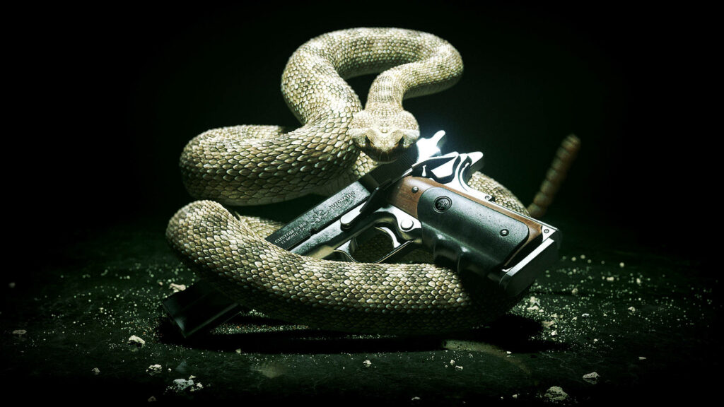 Lethal Coils: Agent 47's Silverballer Embraced by a Deadly Rattlesnake Wallpaper