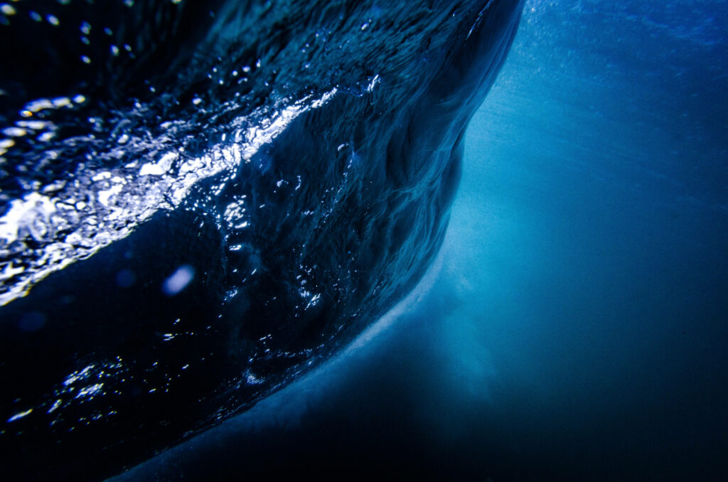 Oceanic Symphony: The Whalesong Revealed through Serene Liquid Background Wallpaper