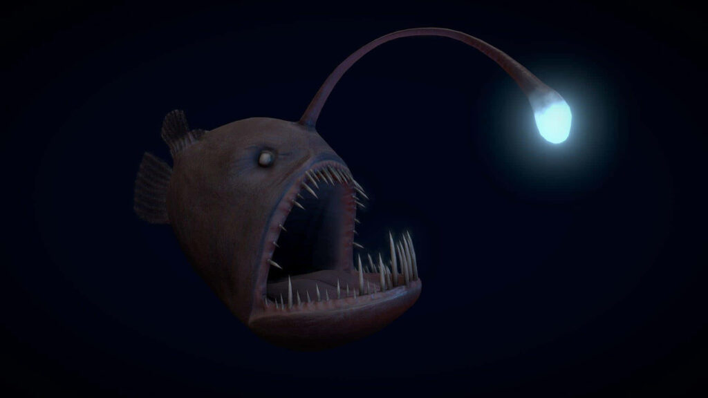 Deep sea anglerfish with glowing lure and sharp teeth floating in dark ocean background wallpaper