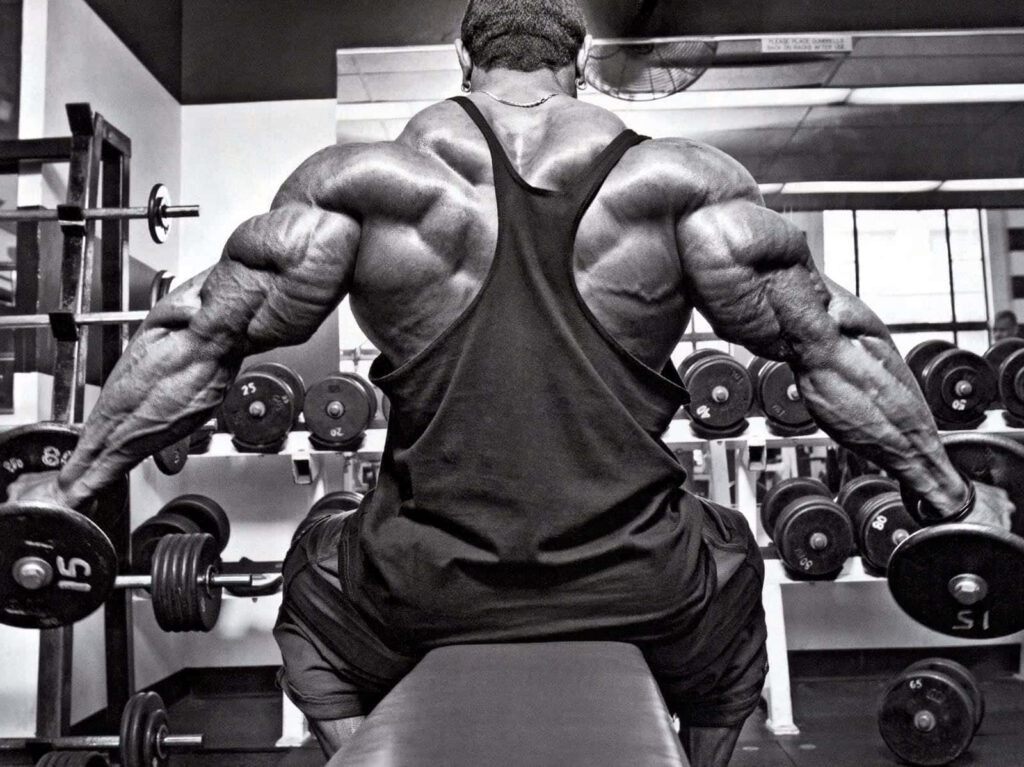 Bodybuilder lifting dumbbells in gym showing defined back muscles strength and fitness dedication Wallpaper