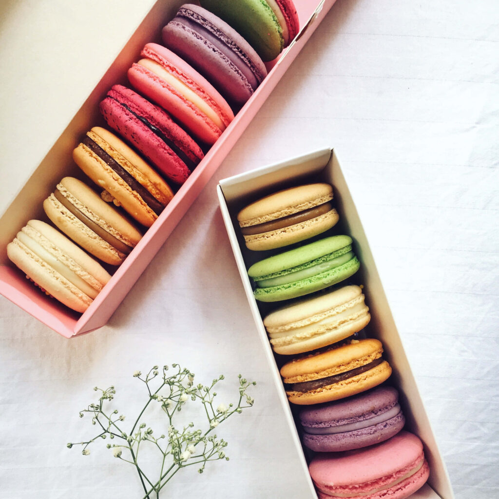 Sweet Indulgence: Vibrant Macarons and Botanical Bliss in Captivating Dessert Display Wallpaper