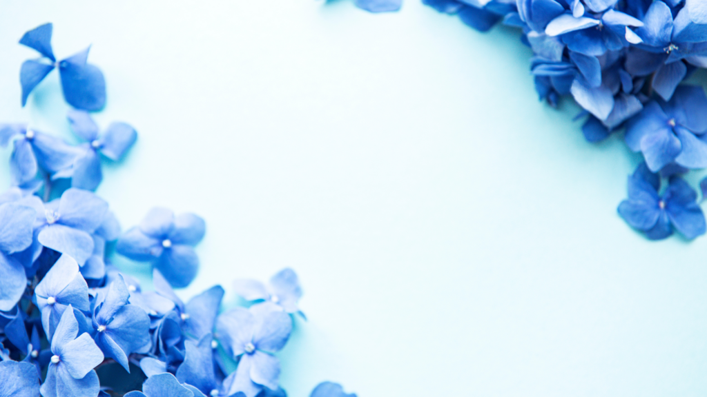 Serene Blue Flower Wallpaper on Light Blue Background