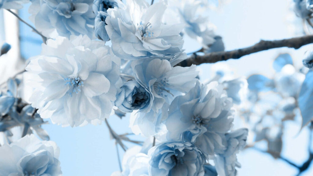 Serene Pale Blue Background with Delicate Blue Flower Wallpaper