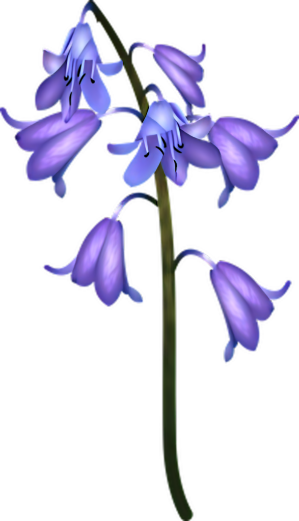 Delicate Bluebell Flower Wallpaper in Soothing Purple & Blue