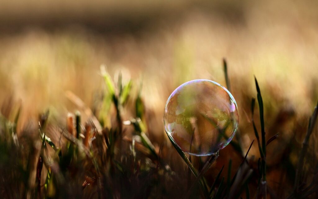 Delicate Bubble on Grass: Nature's Soft Glow Wallpaper Background