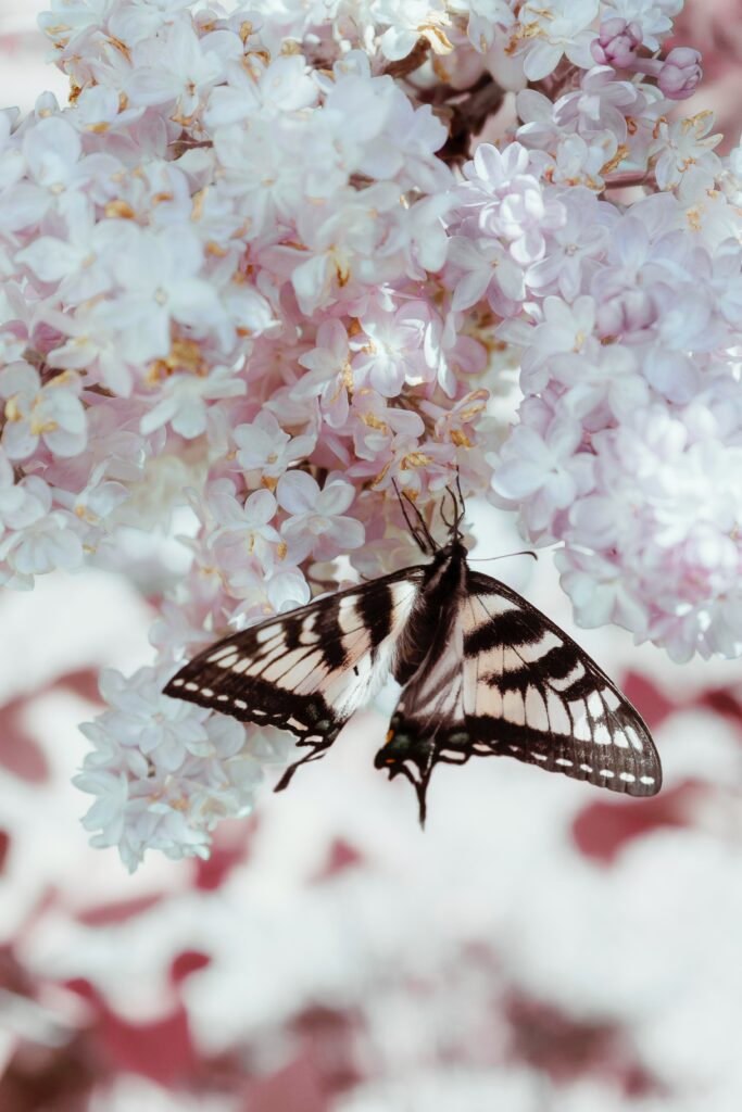 Serene Butterfly Wallpaper: Intricate Wings & Lilac Flowers