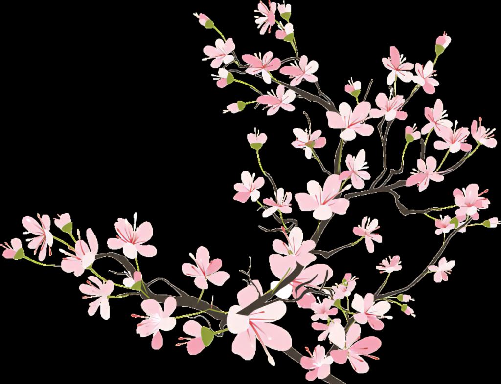 Delicate Cherry Blossom Wallpaper: Serene Spring Background Design