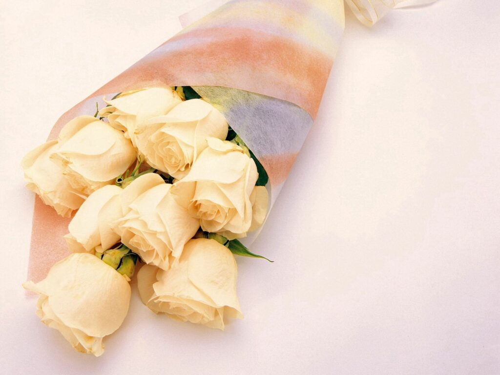 Delicate Cream Roses Wallpaper in Pastel Wrap – 1600x1200 Background