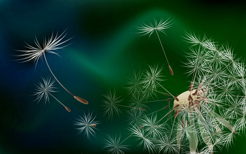 Delicate Dandelion Wallpaper: Fluffy Seeds on Green and Teal Background