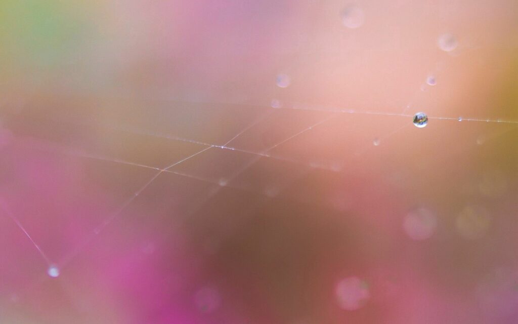Delicate Dewdrop Threads Wallpaper: Soft Pink & Green Background