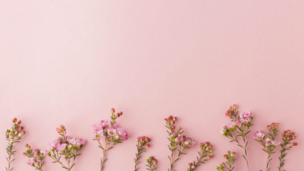 Minimalist pastel pink wallpaper with delicate tiny blossoms along bottom edge serene feminine design