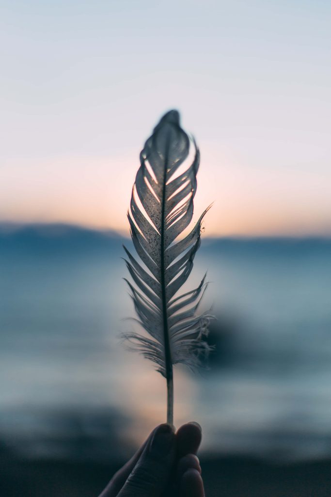 Hand holding delicate feather backlit by warm sunset glow serene blurred horizon wallpaper