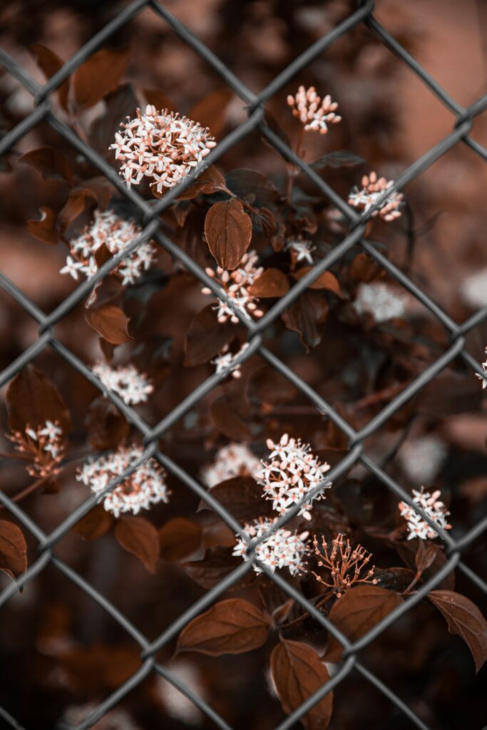Delicate Flowers & Metal Mesh: Nature Meets Industrial Background Wallpaper