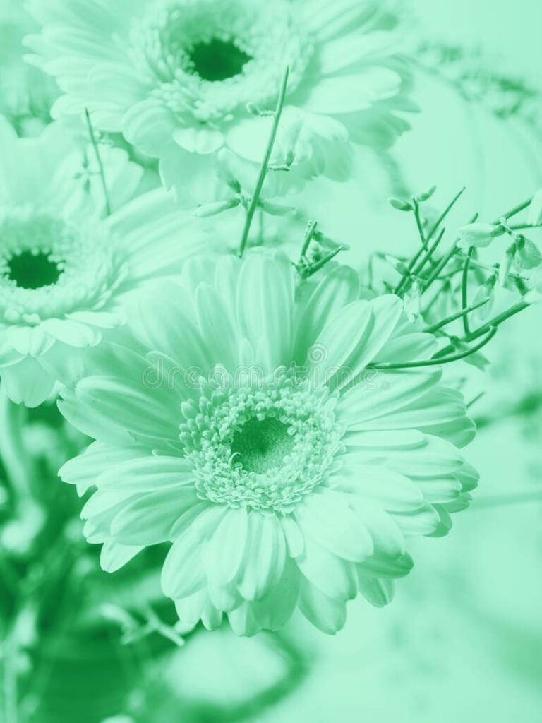 Delicate Floral Wallpaper: Serene Mint Green Aesthetic Background