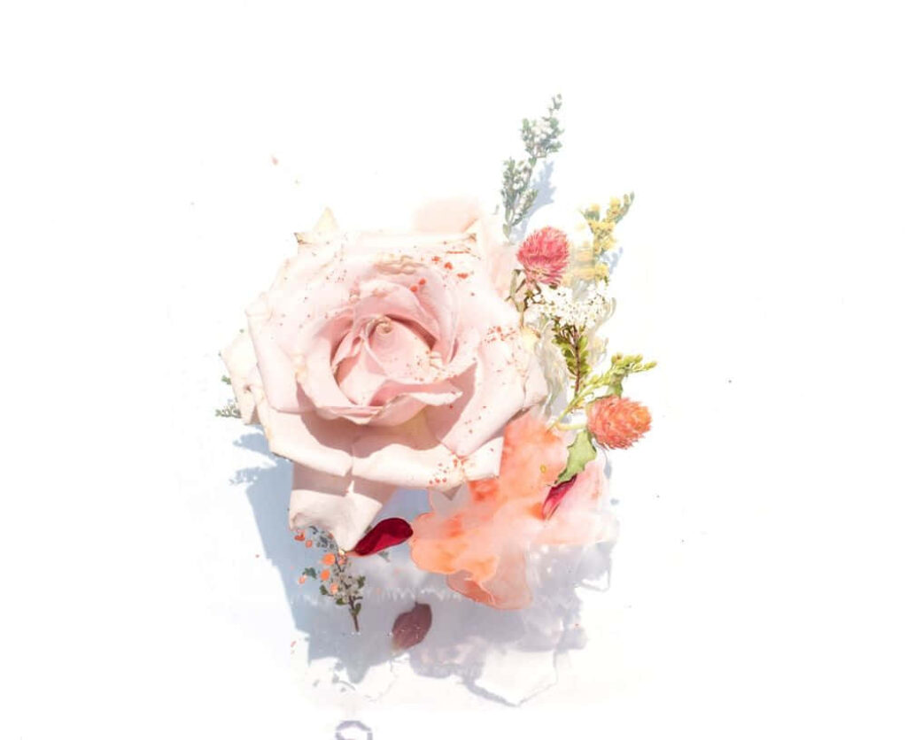 Delicate Floral Wallpaper with Light Pink Rose and Greenery Background