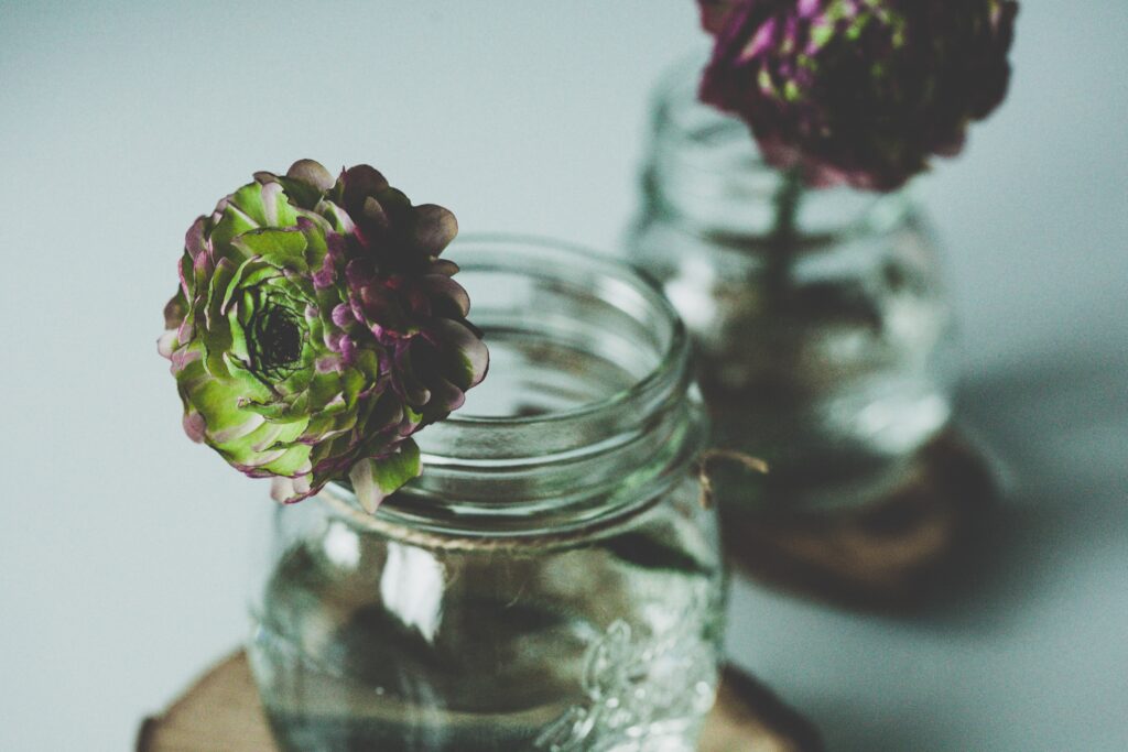 Serene Floral Wallpaper: Close-Up of Delicate Green & Purple Petals