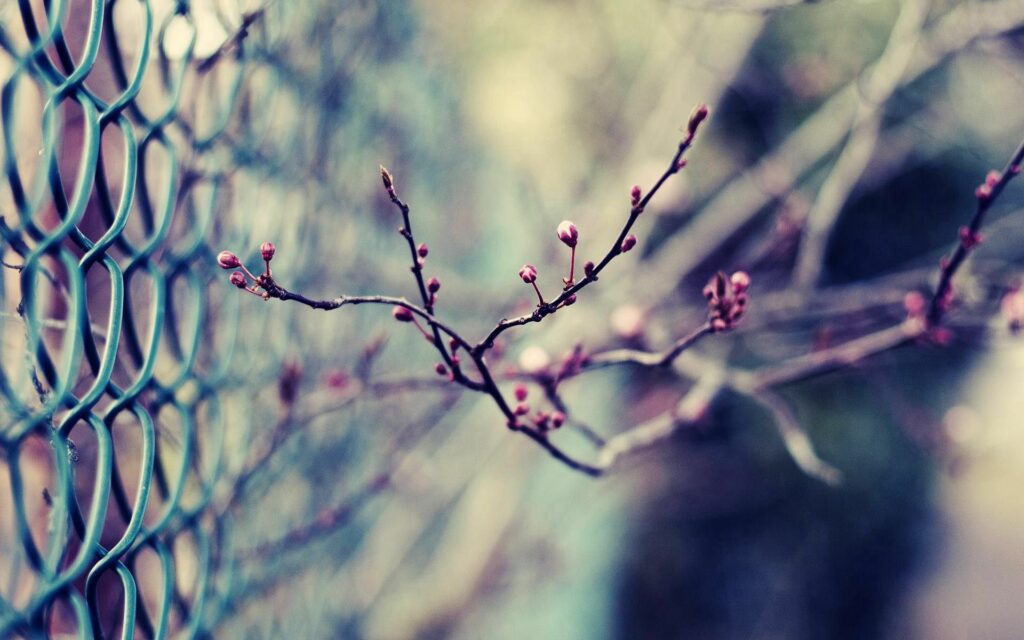 Delicate Floral Branches on Green Wire Mesh Wallpaper Background