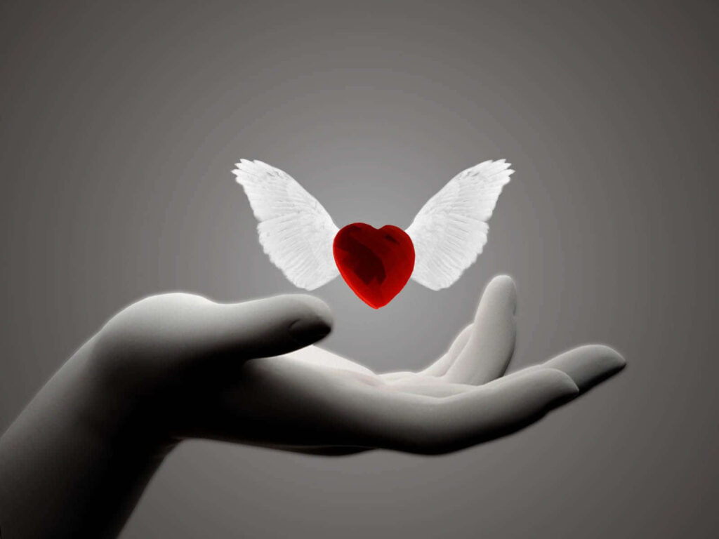 Serene Wallpaper: Heart with Wings Symbolizing Love and Care