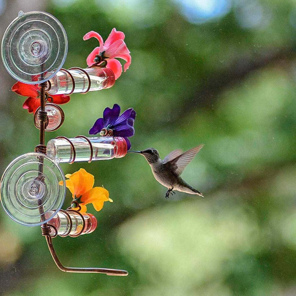 Graceful Hummingbird at Vibrant Flower Feeder in Soft Green Background Wallpaper