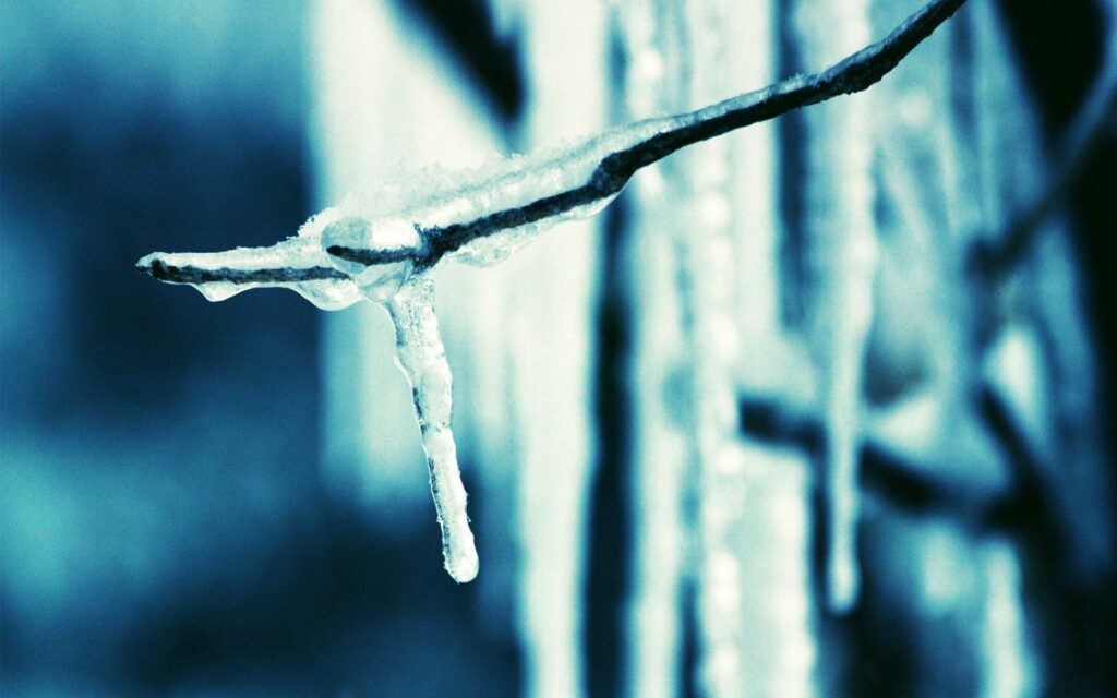 Delicate icicle hanging from slender branch encased in translucent ice against blue background Wallpaper