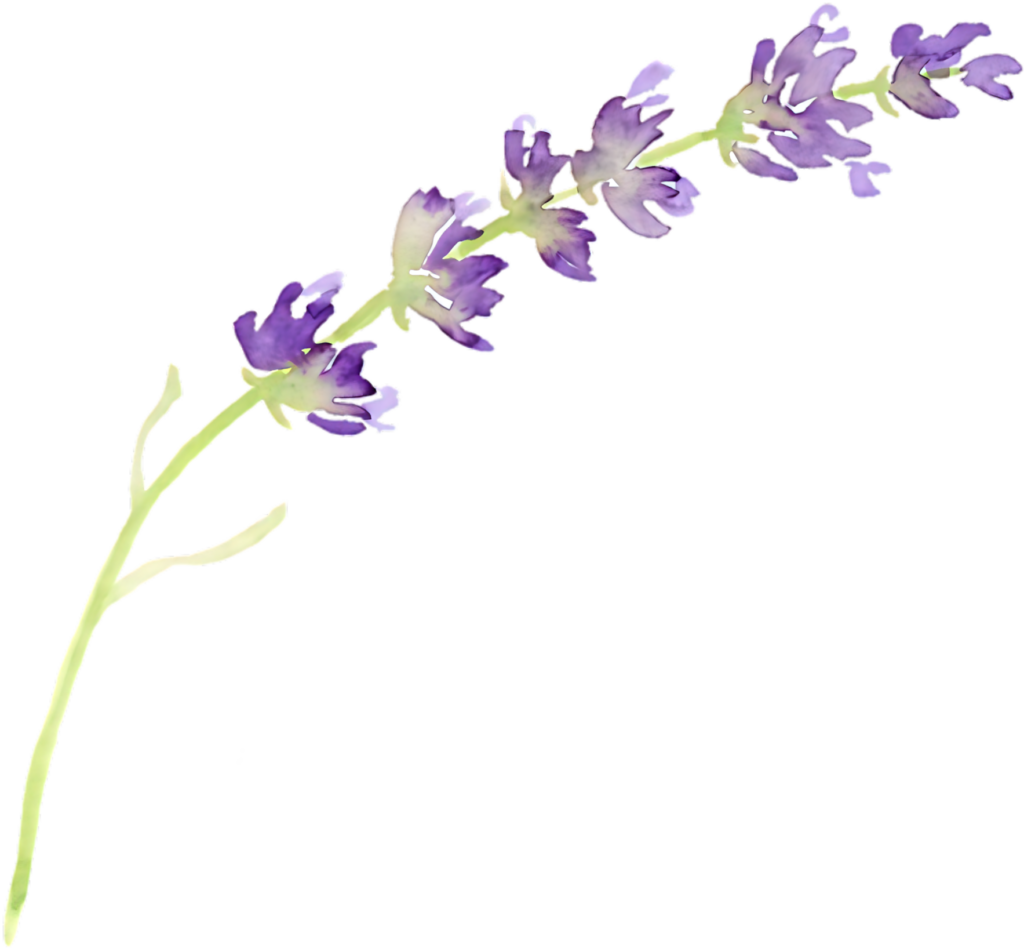 Lavender Sprig Watercolor Wallpaper - Calm Nature Background