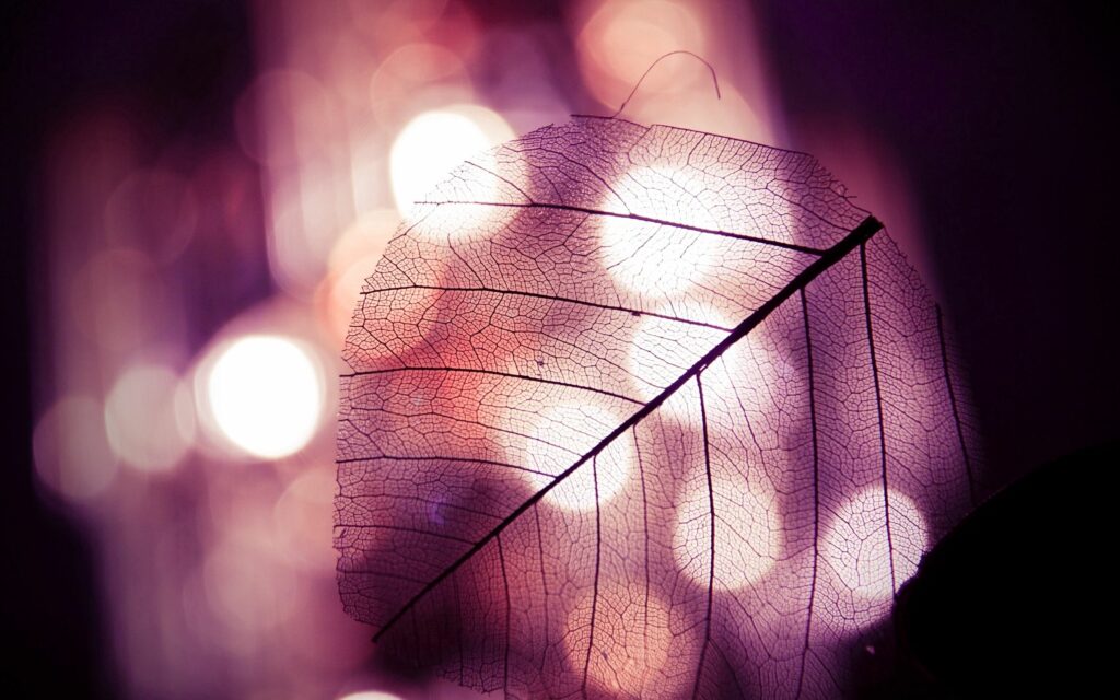 Delicate Leaf Wallpaper: Translucent Design with Autumn Glow