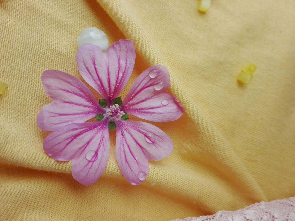Delicate Purple Flower with Dewdrops on Soft Yellow Background Wallpaper