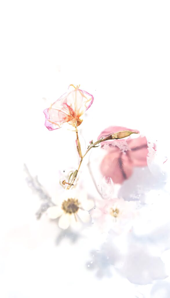 Delicate Pink & White Floral Wallpaper: Aesthetic Minimalist Background