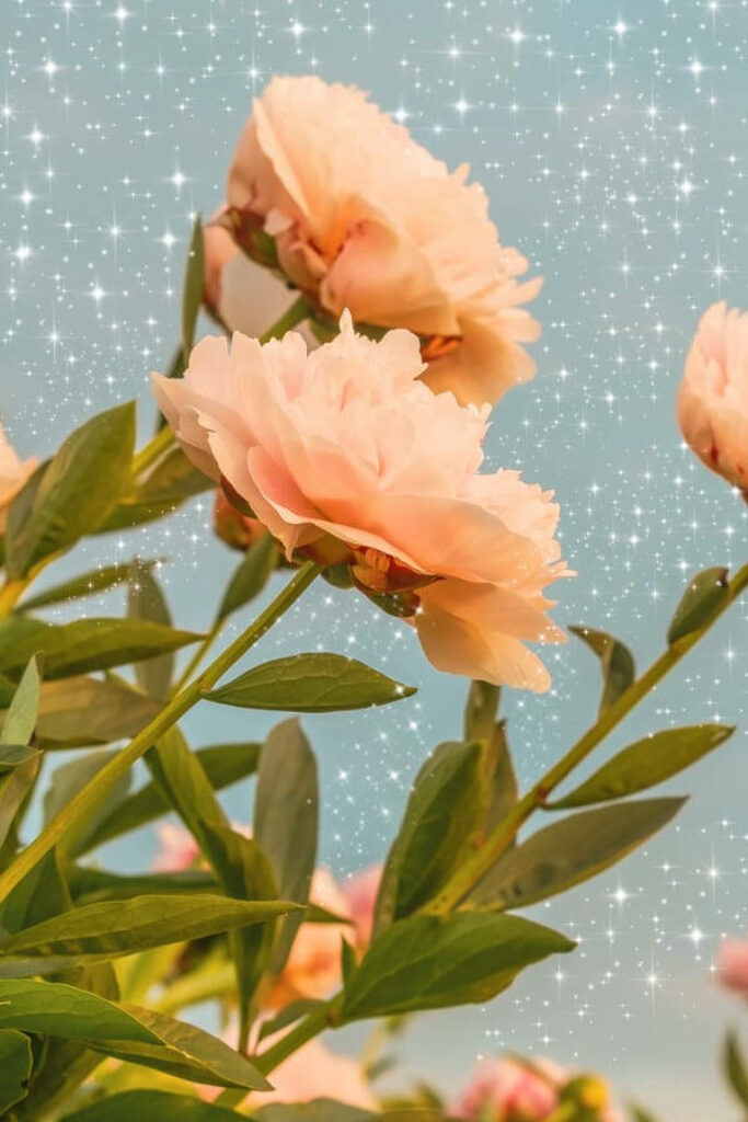 Delicate Orange Flowers on Soft Blue: Vintage Aesthetic Wallpaper