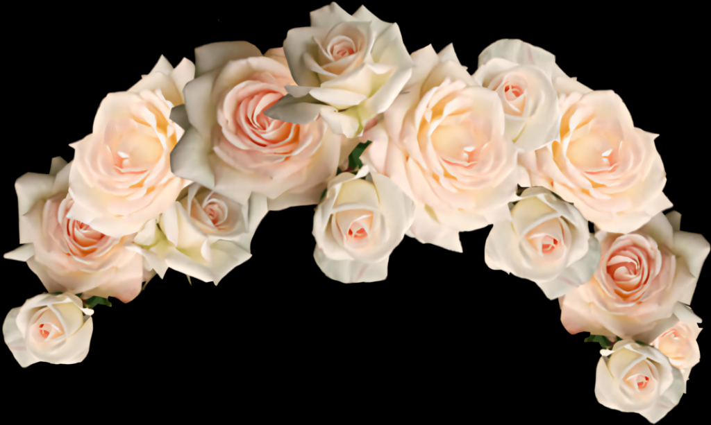 Delicate Pale Rose Crown Wallpaper on a Black Background