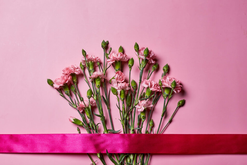 Delicate Pink Carnations Wallpaper with Elegant Ribbon Background