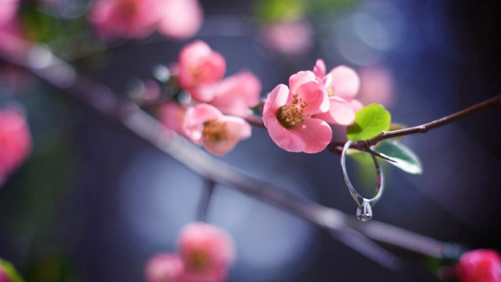 Delicate Pink Flower Wallpaper Background: Spring's Fresh Beauty