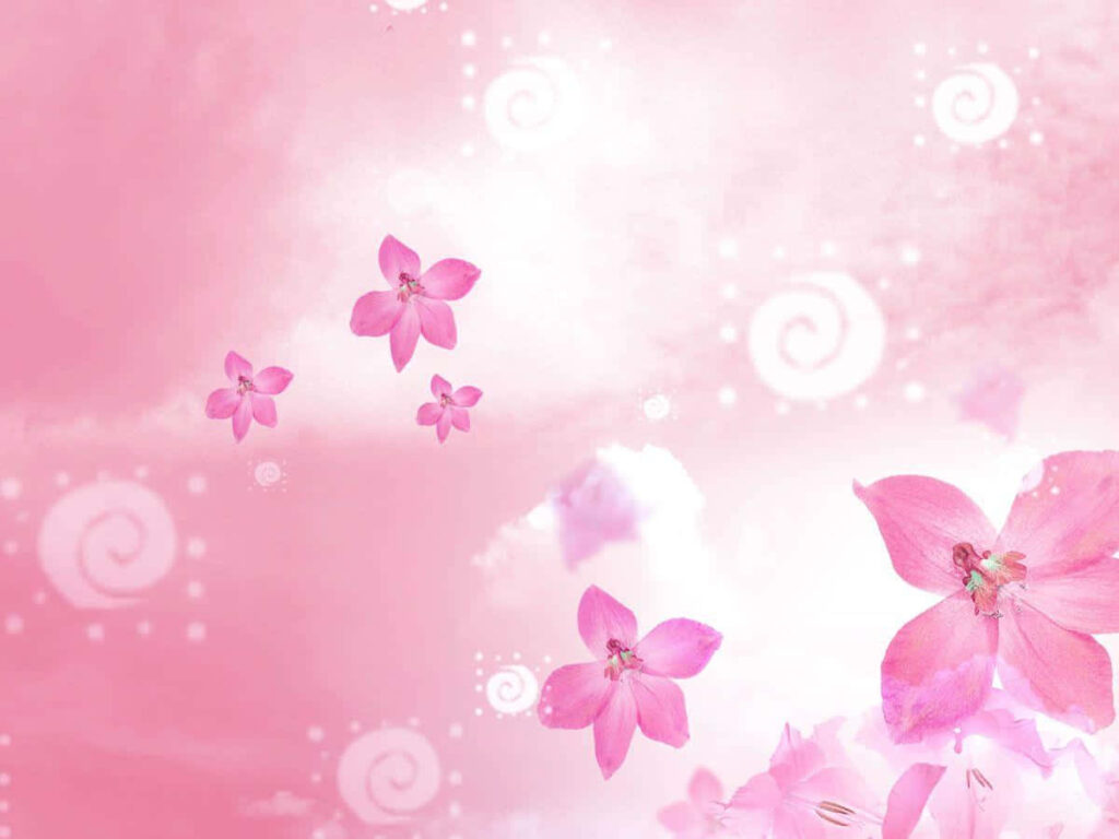 Delicate Pink Flowers Blooms on Dreamy Serene Background Wallpaper