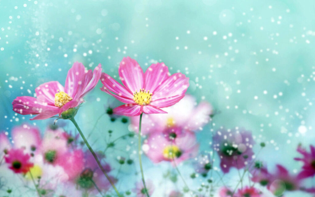 Serene Pink Flower Wallpaper on Soft Turquoise Background