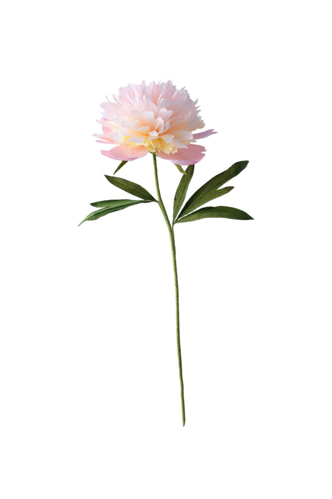 Delicate Pink Flower Wallpaper on Elegant White Background