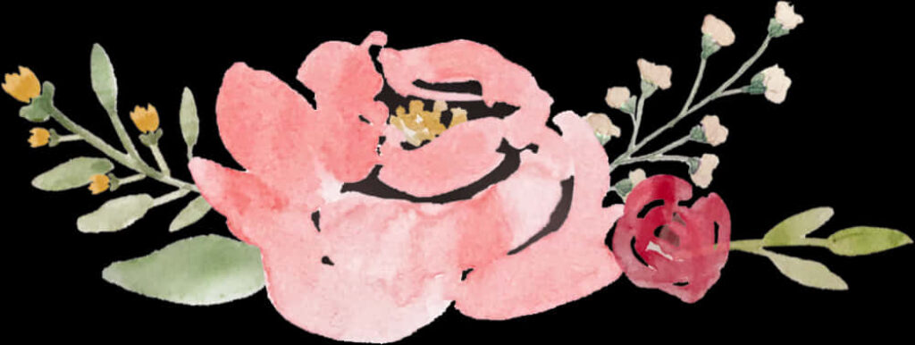 Delicate Pink Watercolor Flower Wallpaper with Transparent Background